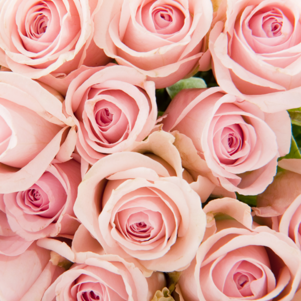 Bouquet de roses – Image 4