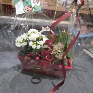 Noël Nature – casier n°1