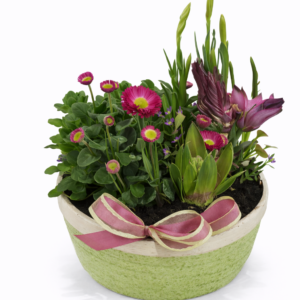 Jardinière d&rsquo;extérieur  – casier n°2