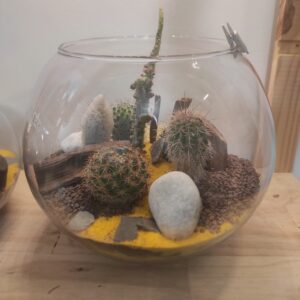 Terrarium ouvert