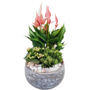 Composition florale en pot céramique (Copie)