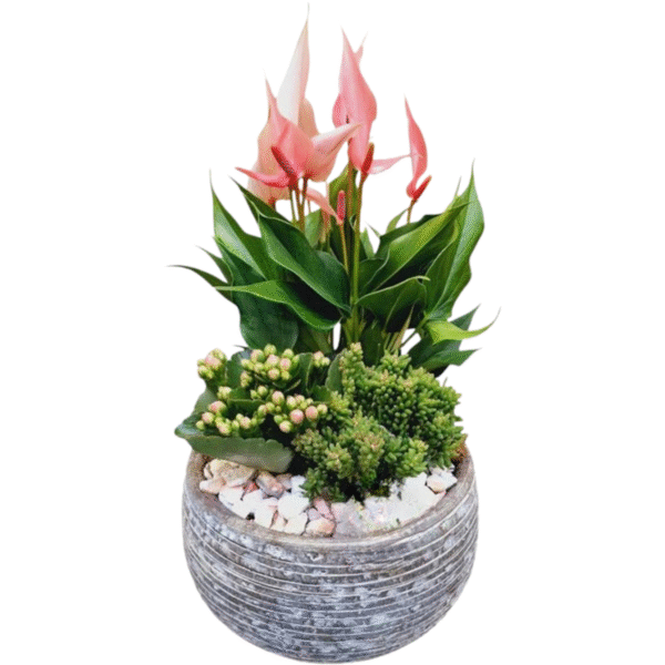 Composition florale en pot céramique (Copie)