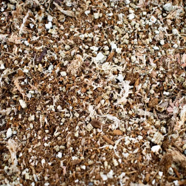 Mélange carnivore | 5L | Sans tourbe | Engrais organique | Terre – Image 3