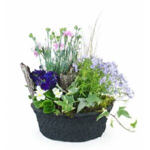 Coupe de plantes