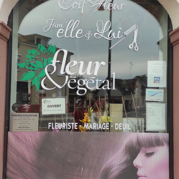 Fleur et Végétal Atelier de création floral à Bischwiller