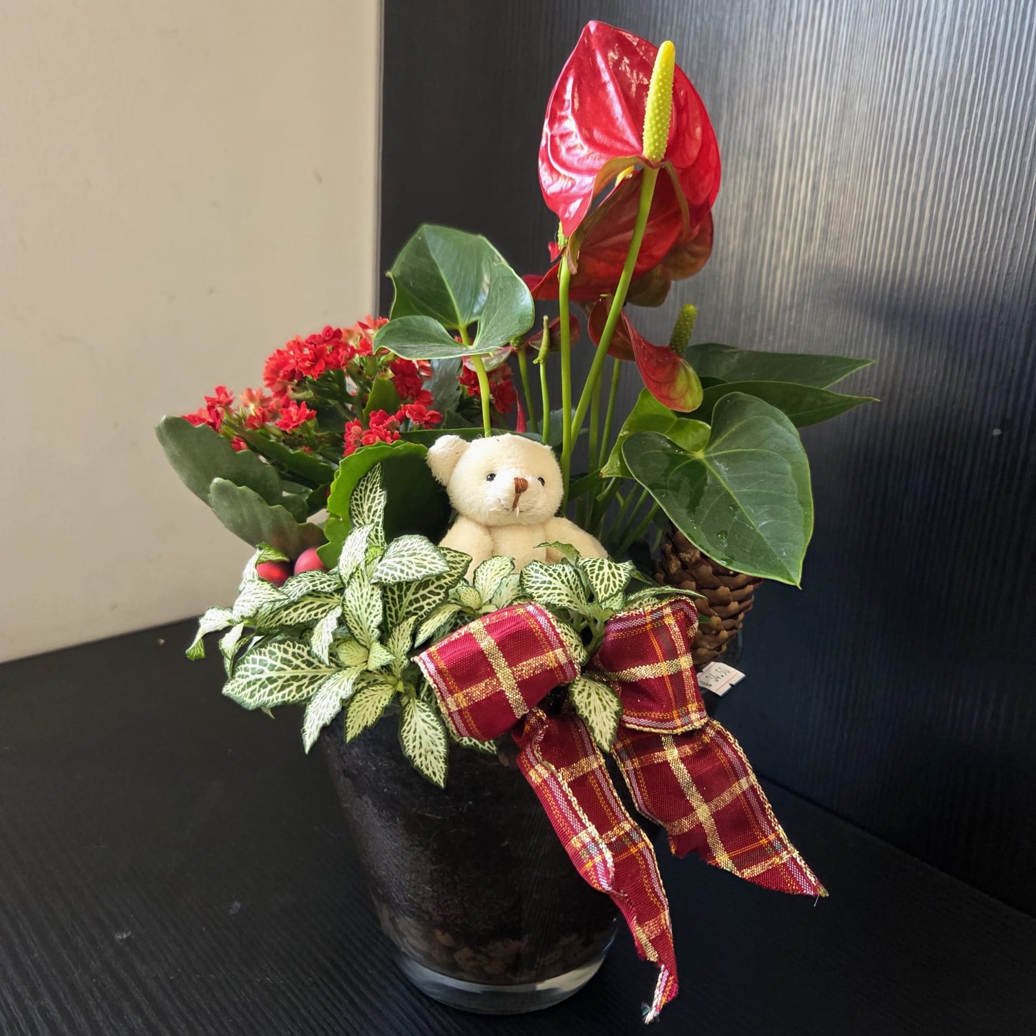 Plante fleurie d’intérieur – Casier n°4