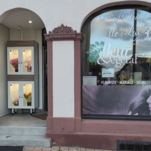 Atelier d de Fleur et Végétal