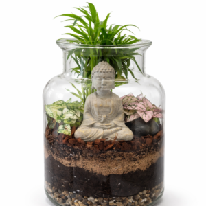 Terrarium zen jardin miniature – Casier n°3