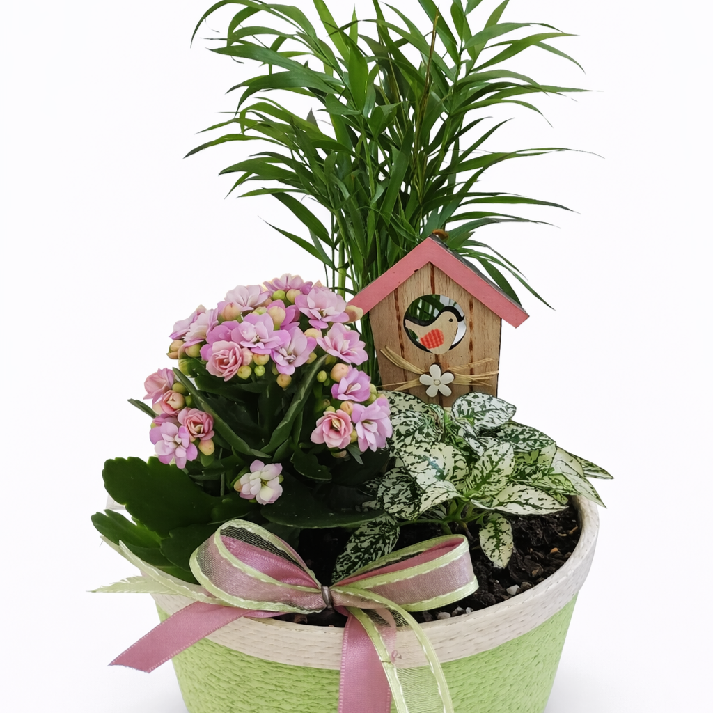 Mini jardin d’intérieur fleuri - casier n°1