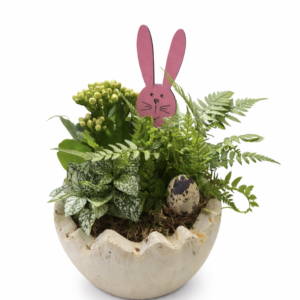 Mini jardin d’intérieur fleuri – casier n°1