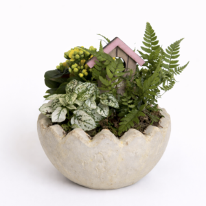 Mini jardin d’intérieur fleuri – casier n°1